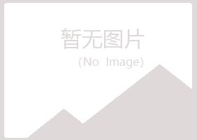 鲁山县盼夏钢结构有限公司